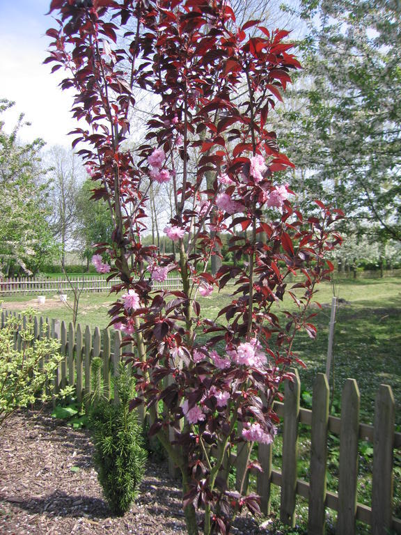 B&B Hoeve Ransberg Exterior foto